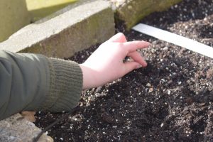 de lente moestuin