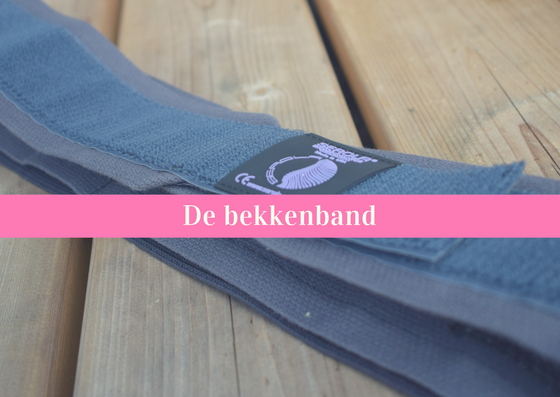 De bekkenband bekkenklachten bekkenpijn