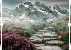 stilstaan om vooruit te komen persoonlijke ontwikkeling