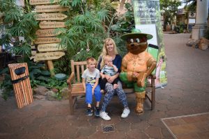landal greenparks de lommerbergen