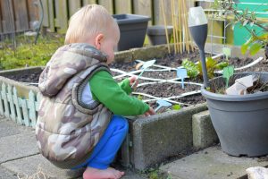 moestuinieren met kinderen