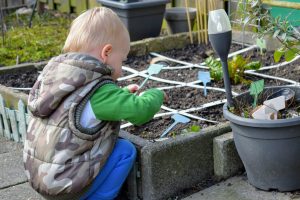moestuinieren kinderen moestuin