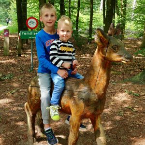 Appelscha familiepad gratis uitje