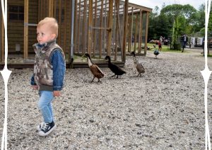 gratis en low budget uitjes