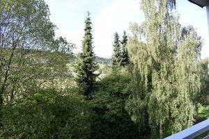 stern hotel willingen sauerland uitzicht