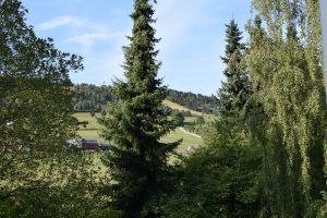 stern hotel Willingen uitzicht balkon