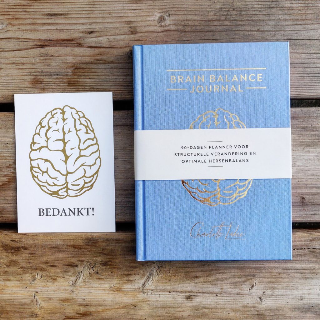 Brain balance journal