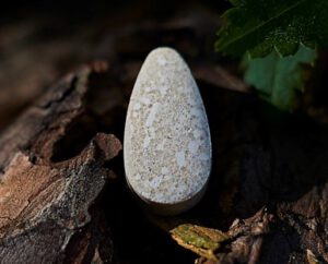 Schoonmaken met gezonde bacteriën