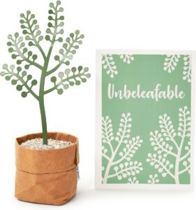 Lichtpuntje tijdens donkere dagen