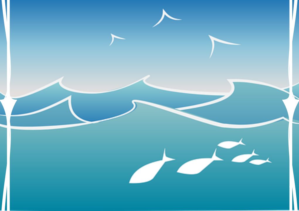 omega 3 visolie kinderen gummies Lijf en Lijn