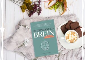 Overprikkeld brein boek Charlotte Labee