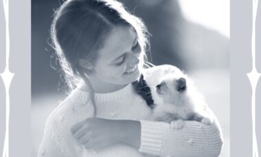 Kitten opvoeden