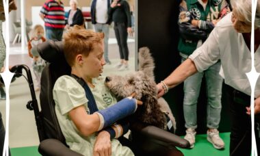 Hulphonden zieke kinderen