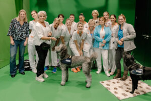 Hulphonden zieke kinderen