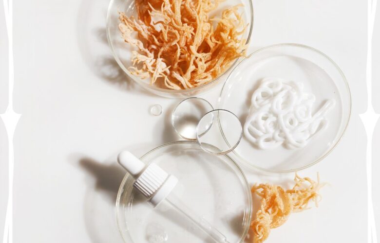 Wat is Sea moss?