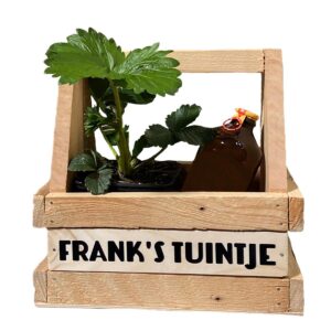 Haal de lente in huis